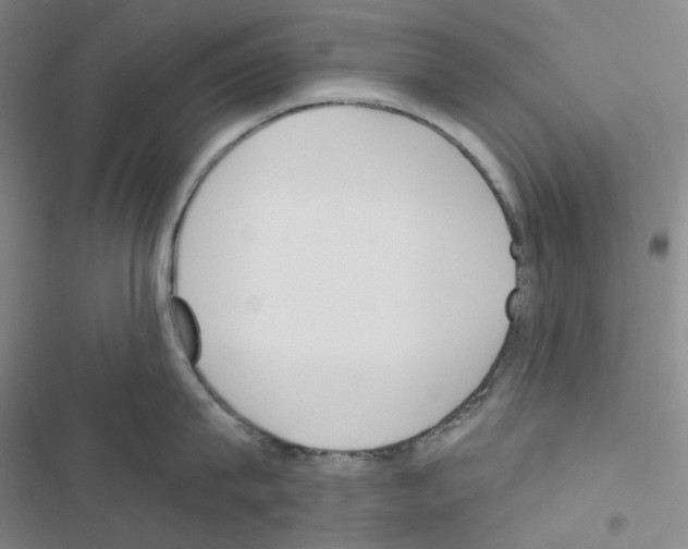 X0000116570815201001211242