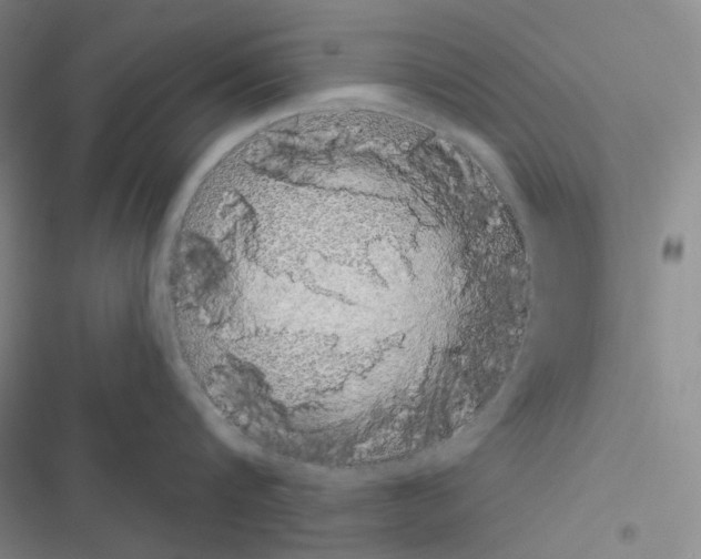 X0000116570816201001211242