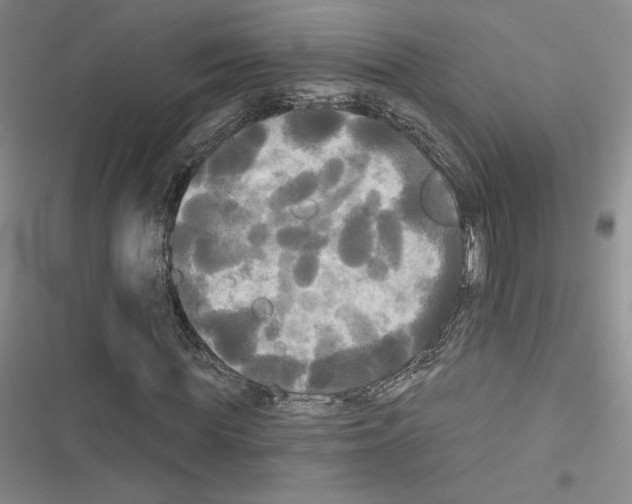 X0000116570819201001211242