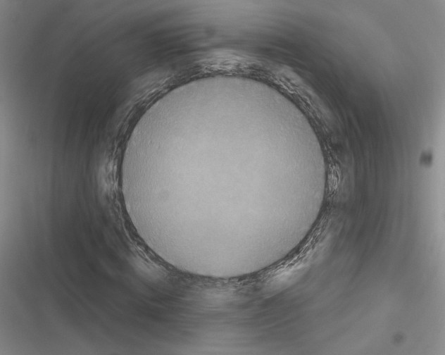 X0000116570820201001211242