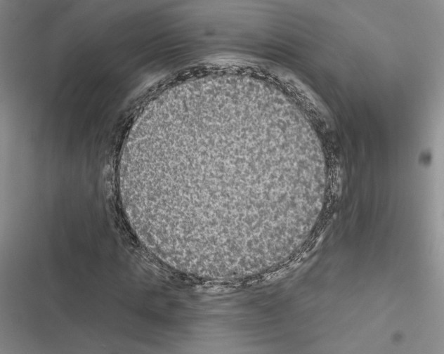 X0000116570821201001211242