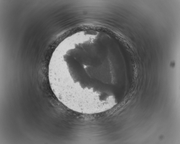 X0000116570822201001211242