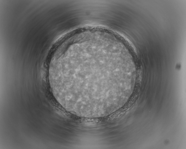 X0000116570823201001211242