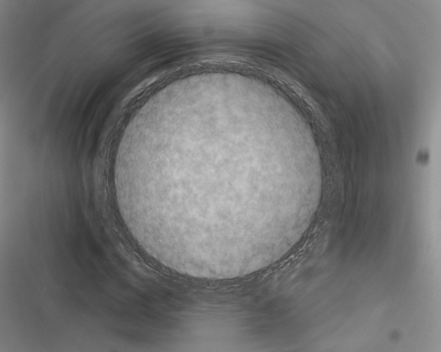 X0000116570824201001211242