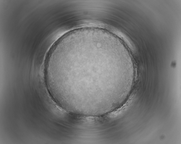 X0000116570828201001211242