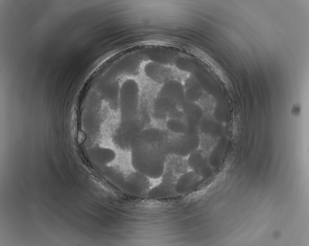 X0000116570829201001211242