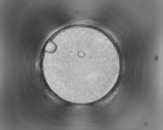 X0000116570830201001211242