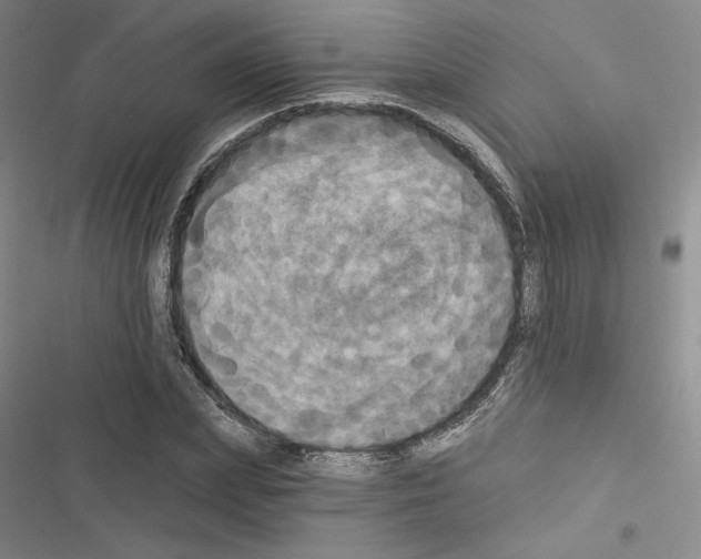 X0000116570831201001211242