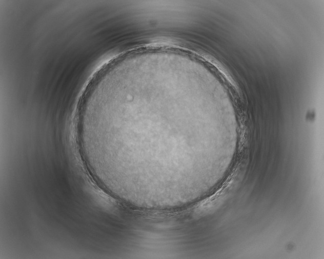 X0000116570832201001211242