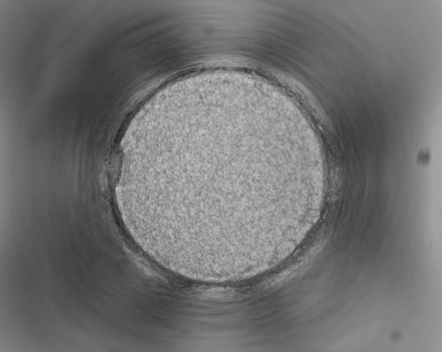 X0000116570833201001211242