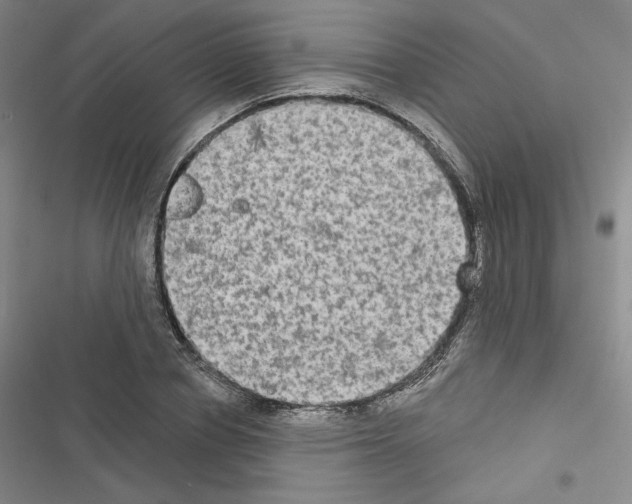 X0000116570834201001211242