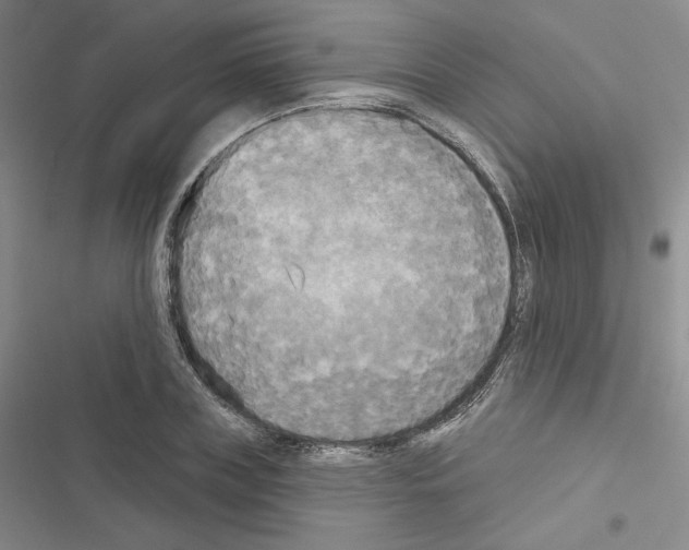 X0000116570835201001211242