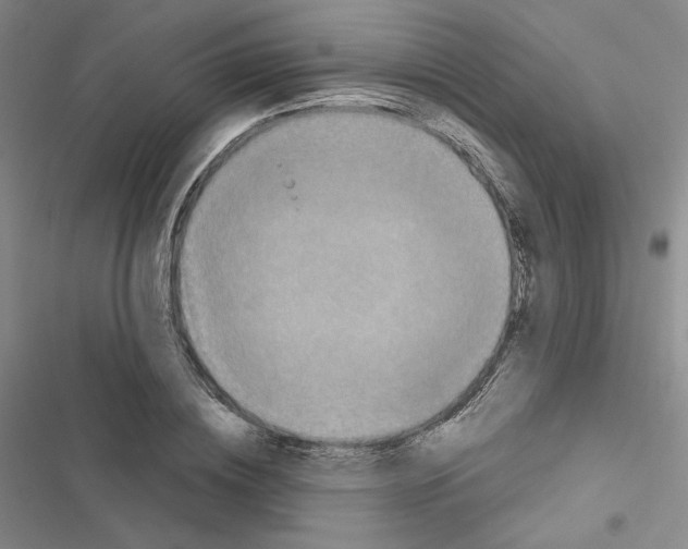 X0000116570836201001211242