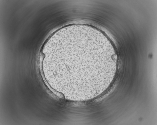 X0000116570837201001211242