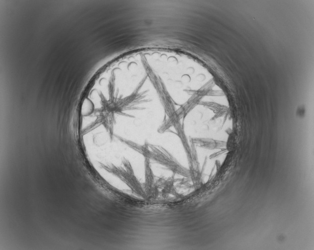 X0000116570838201001211242