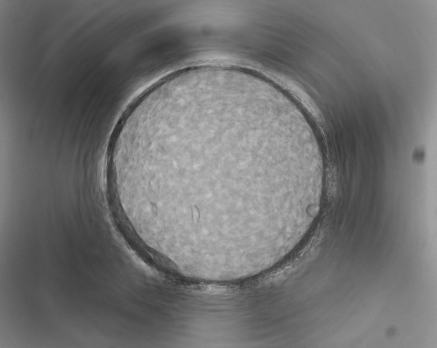 X0000116570839201001211242