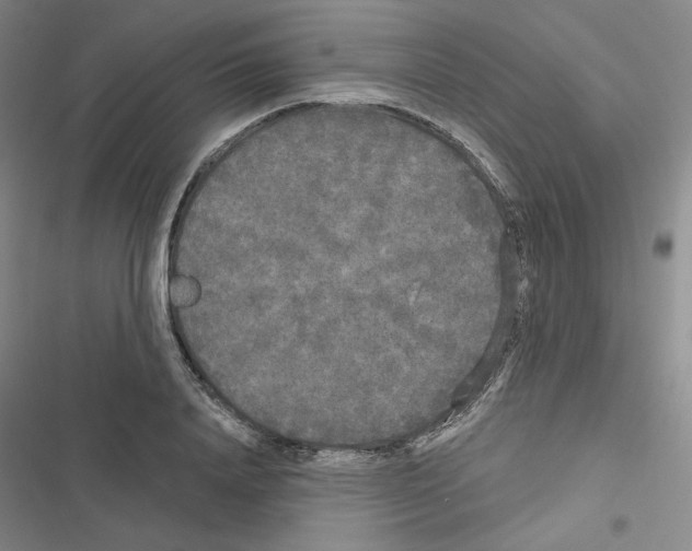 X0000116570840201001211242