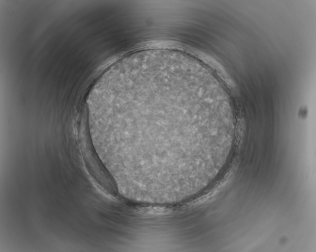 X0000116570841201001211242