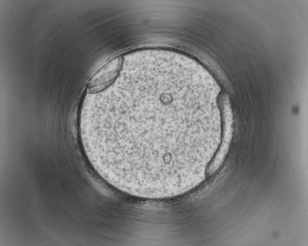 X0000116570842201001211242