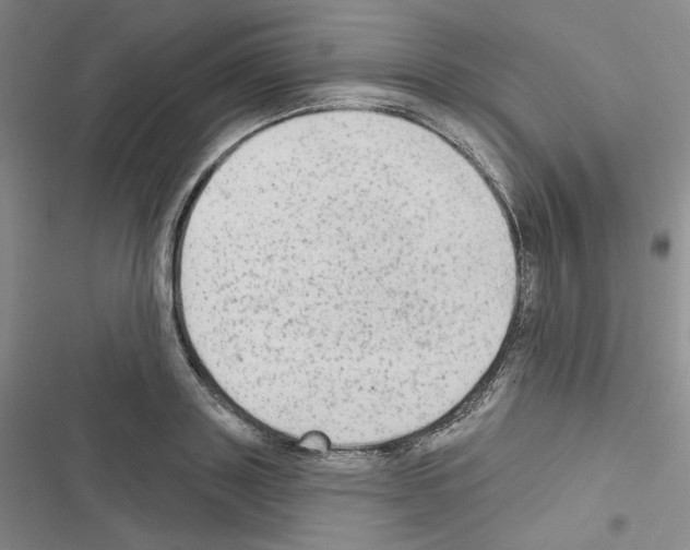 X0000116570843201001211242