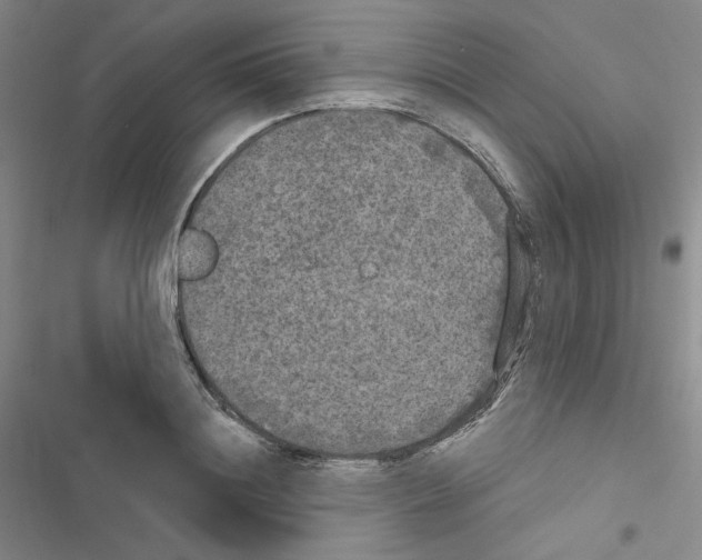 X0000116570844201001211242