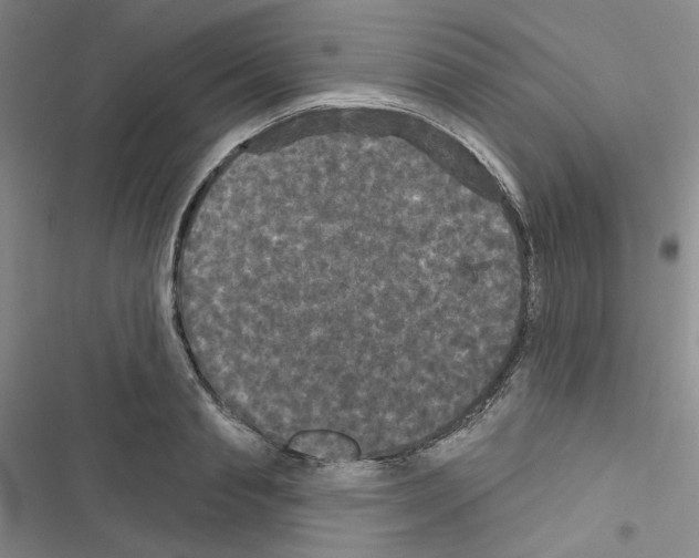 X0000116570845201001211242