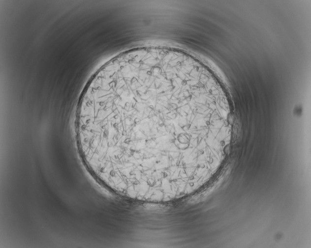 X0000116570847201001211242