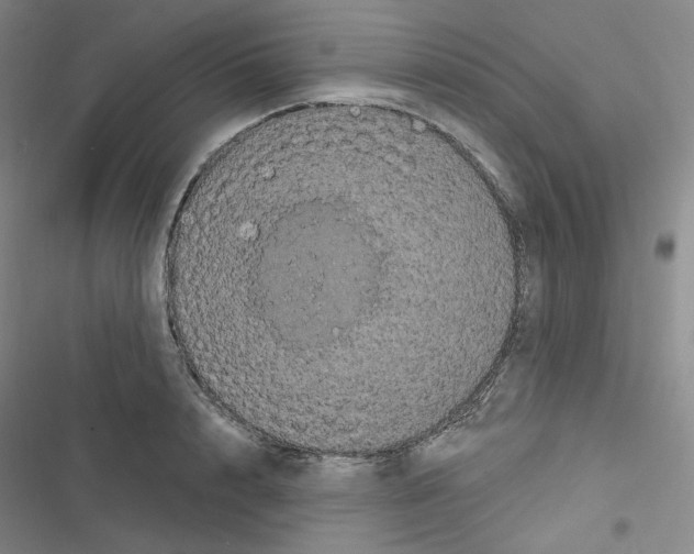 X0000116570848201001211242