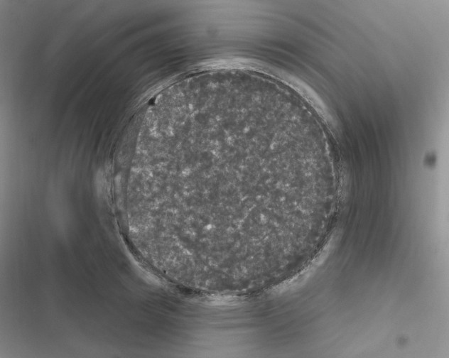 X0000116570849201001211242