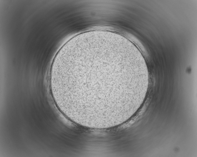 X0000116570852201001211242