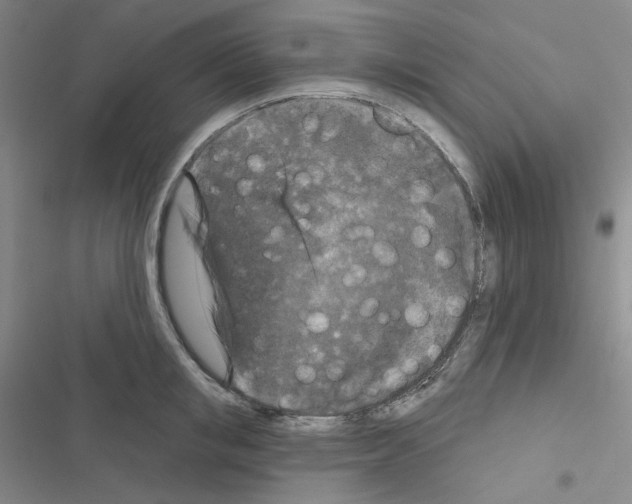 X0000116570853201001211242