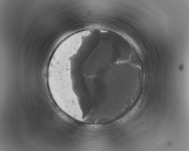 X0000116570854201001211242