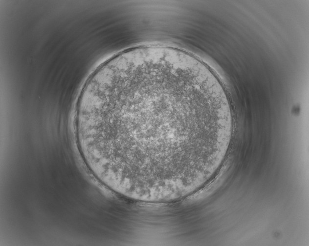 X0000116570856201001211242