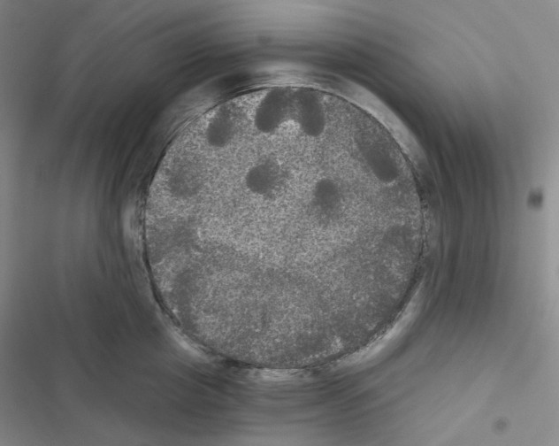 X0000116570857201001211242