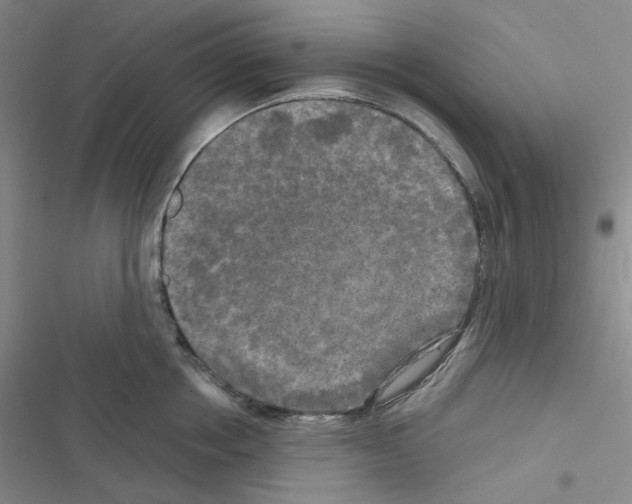 X0000116570858201001211242