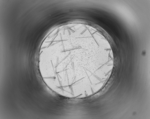 X0000116570860201001211242