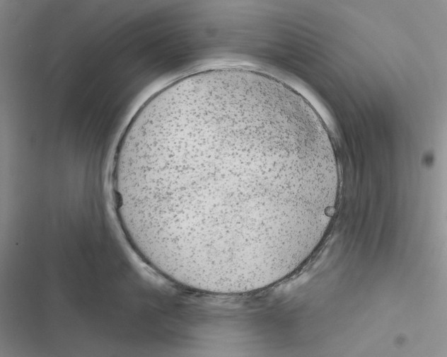 X0000116570861201001211242