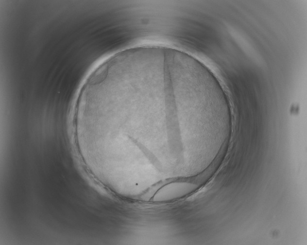 X0000116570864201001211242