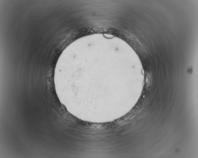 X0000116570867201001211241