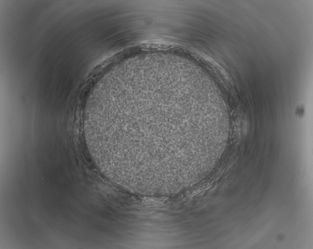 X0000116570870201001211241