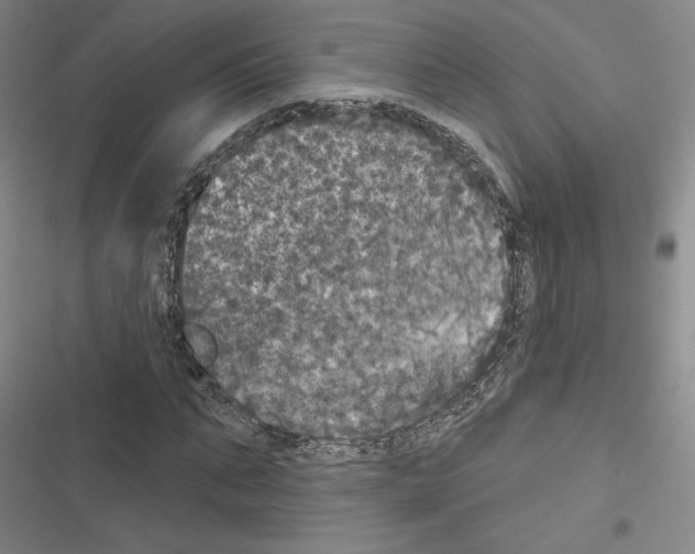 X0000116570871201001211241