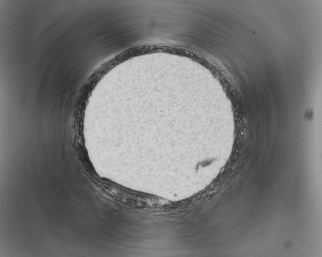 X0000116570872201001211241