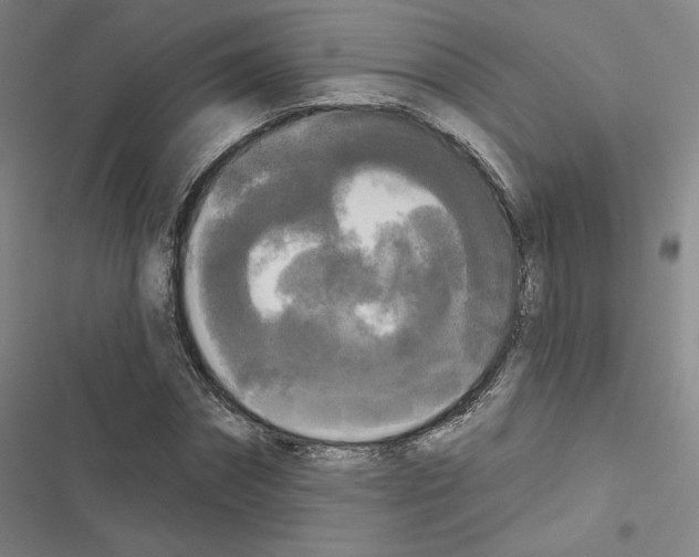 X0000116570874201001211241