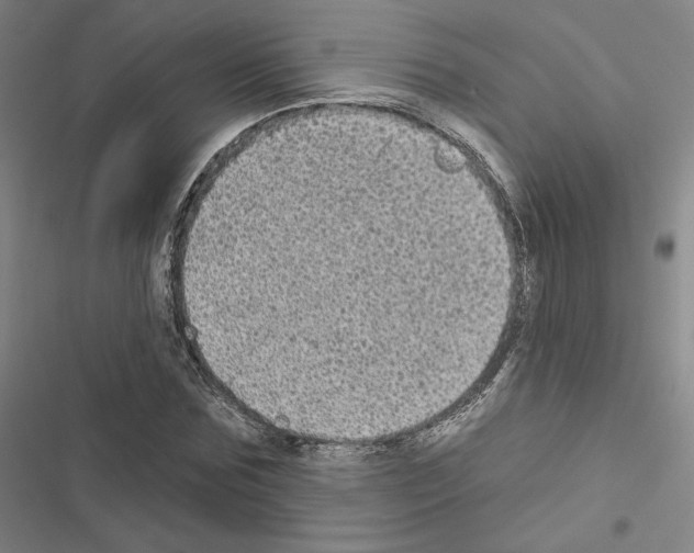 X0000116570875201001211241