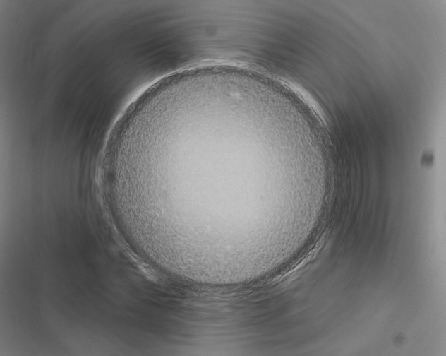 X0000116570878201001211241