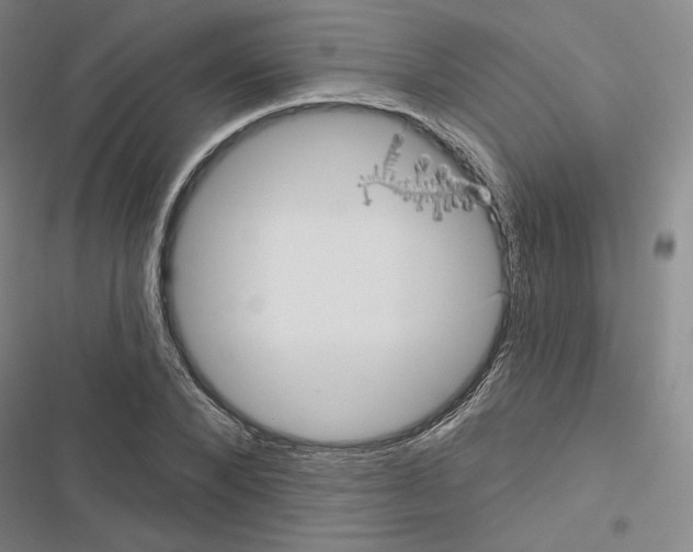 X0000116570880201001211241