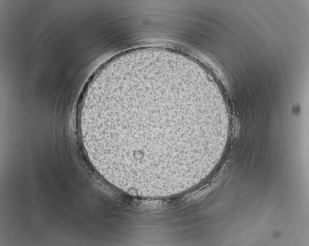 X0000116570883201001211241