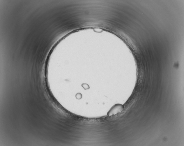 X0000116570884201001211241