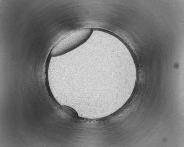 X0000116570885201001211241