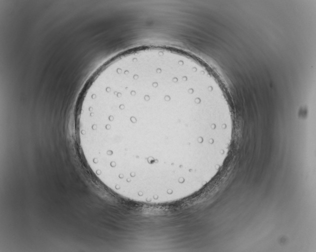 X0000116570887201001211241